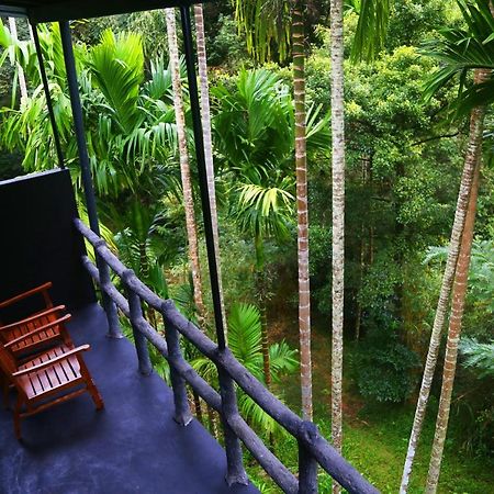 Cool Garden Belihuloya Белихул Оя Екстериор снимка